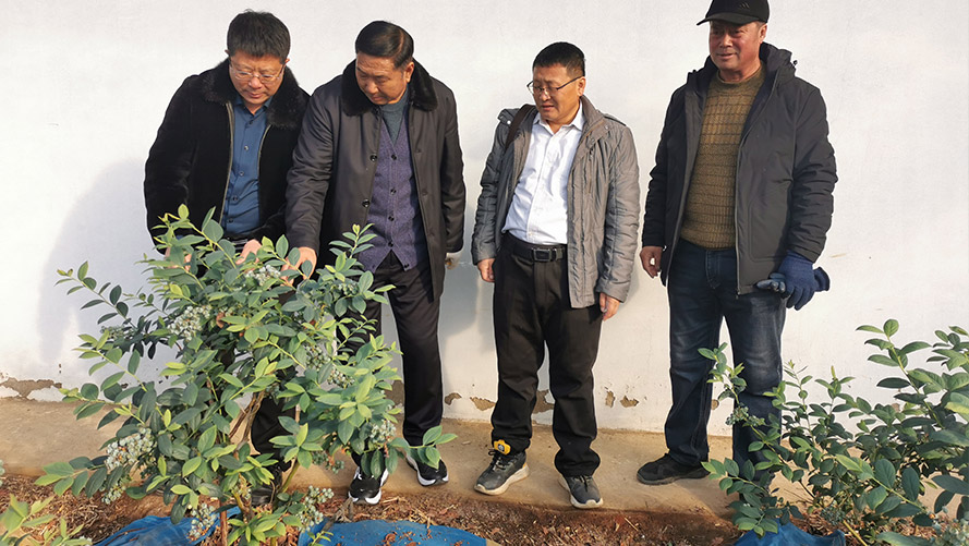 省農科院技術支持